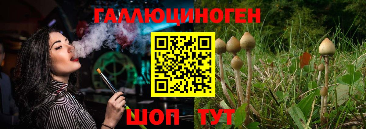 что такое наркотик  Псилоцибиновые грибы ЛСД  Вход с VPN  Кириши 
