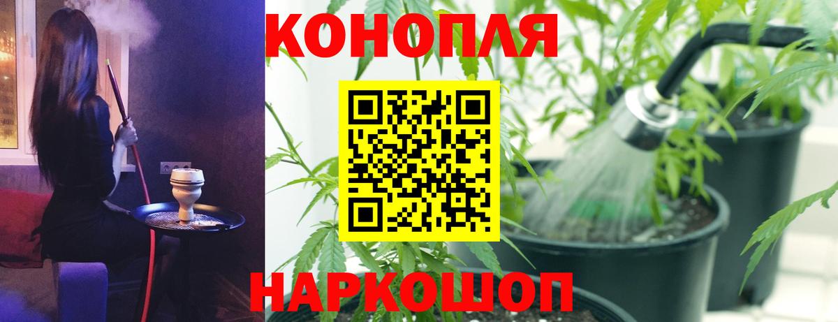 Кириши  МАРИХУАНА THC 21%  Канабис THC 21%  Вход с VPN 