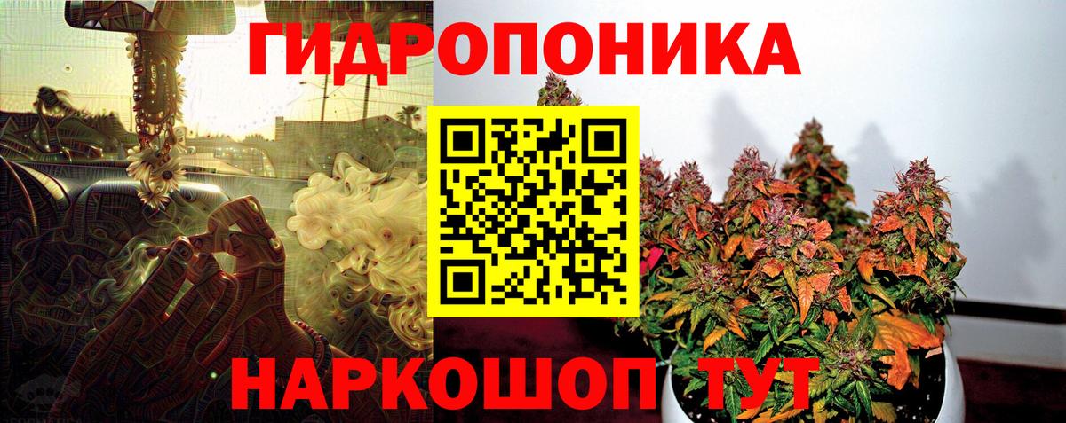 Бошки Шишки конопля Кириши
